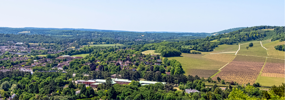 Surrey hills 1132 x 400 px